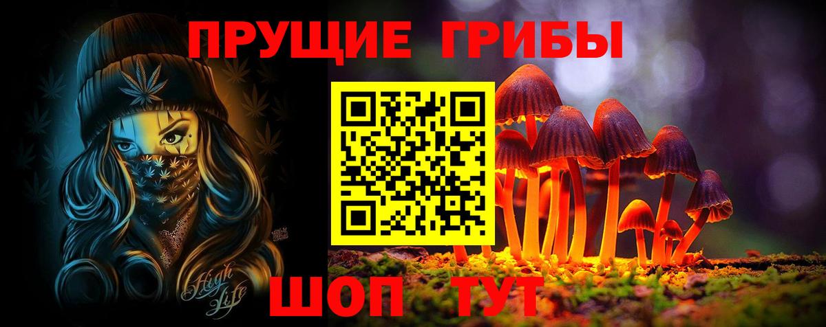 Псилоцибиновые грибы Psilocybe  купить наркотики сайты  Псилоцибиновые грибы мицелий  Зеленогорск  Вход с VPN 
