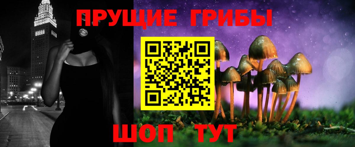 Галлюциногенные грибы MAGIC MUSHROOMS Зеленогорск